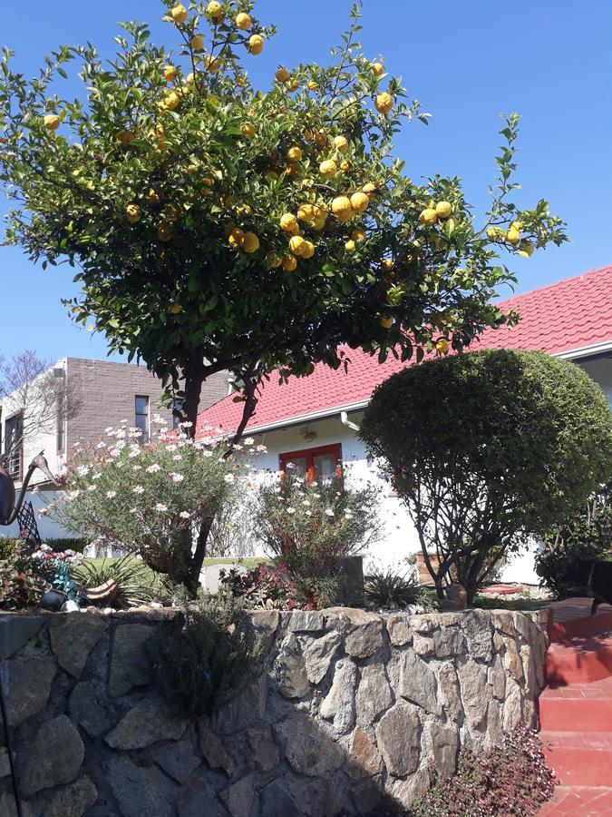 Mizizi House Of Sandton B & B Йоханнесбург Экстерьер фото